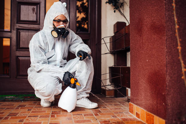 Reliable Wasp Removal contractor in Lawrenceville, VA by Show Me Pest Control