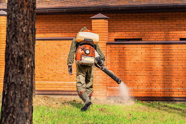 Top rated local Wasp Removal specialists in Lawrenceville, VA
